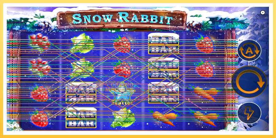 Snow Rabbit: ပိုက်ဆံအတွက်ကစား, ပုံ 2