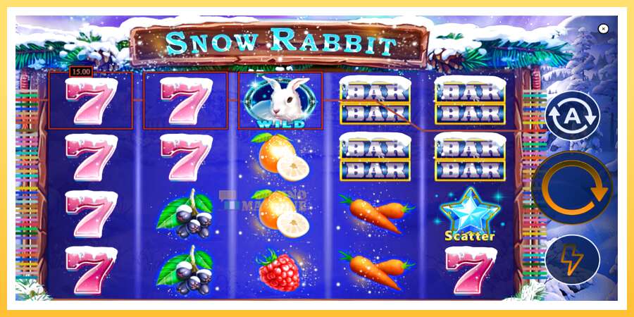 Snow Rabbit: ပိုက်ဆံအတွက်ကစား, ပုံ 3