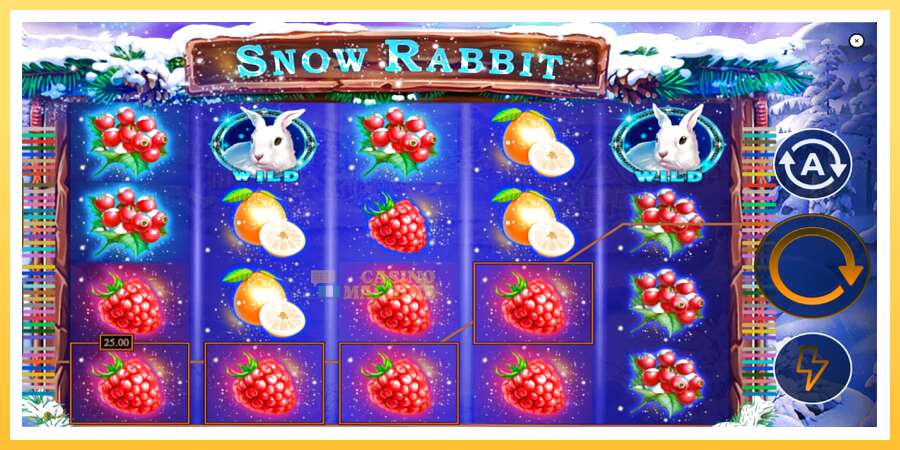 Snow Rabbit: ပိုက်ဆံအတွက်ကစား, ပုံ 4