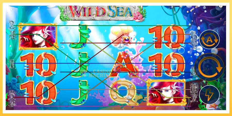 Wild Sea: ပိုက်ဆံအတွက်ကစား, ပုံ 1