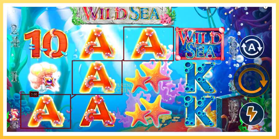 Wild Sea: ပိုက်ဆံအတွက်ကစား, ပုံ 2