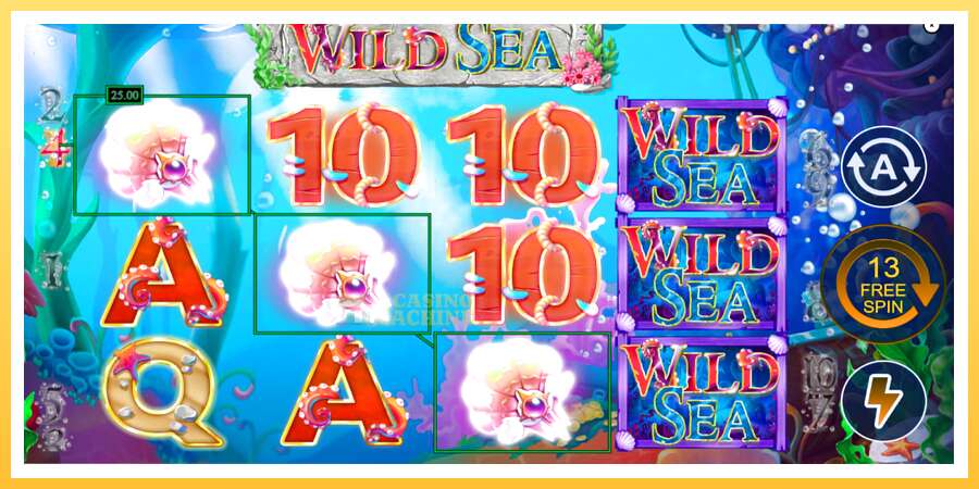 Wild Sea: ပိုက်ဆံအတွက်ကစား, ပုံ 3