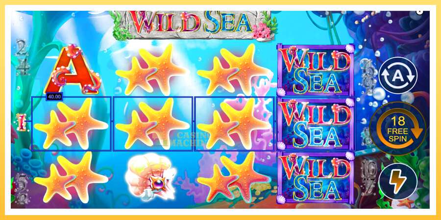 Wild Sea: ပိုက်ဆံအတွက်ကစား, ပုံ 4