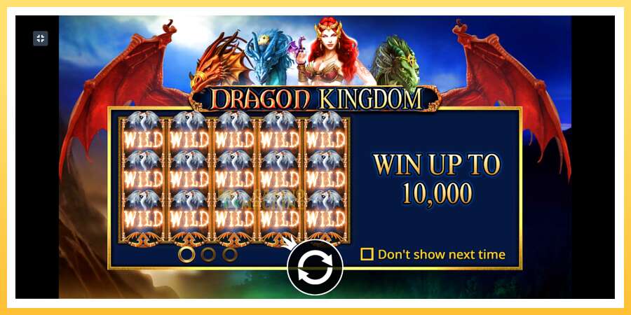 Dragon Kingdom: ပိုက်ဆံအတွက်ကစား, ပုံ 1