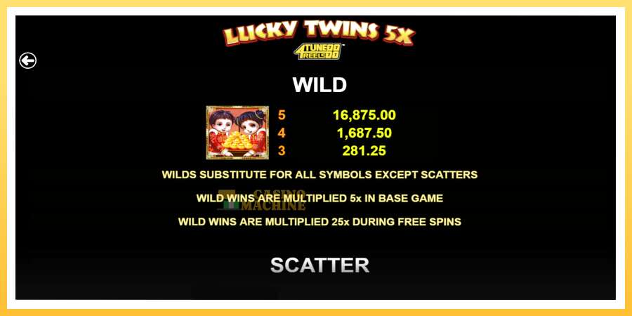 Lucky Twins 5X 4Tune Reels: ပိုက်ဆံအတွက်ကစား, ပုံ 5