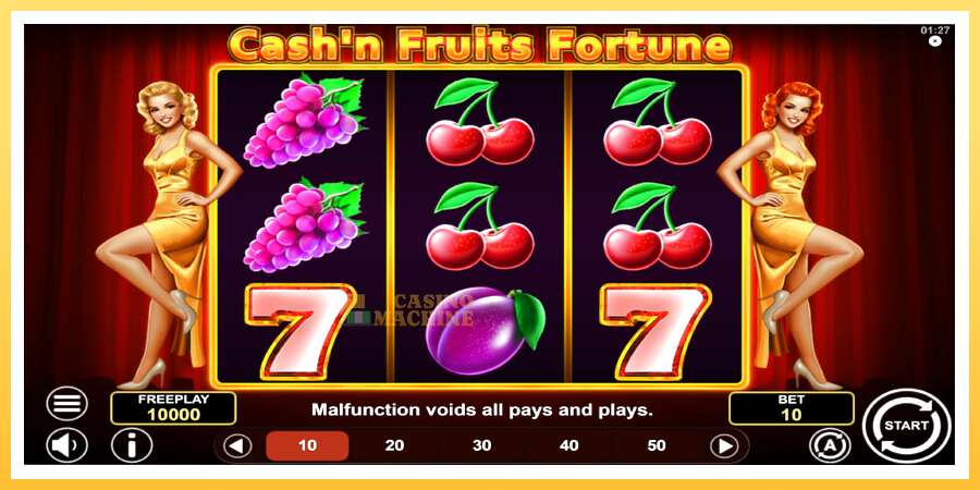 Cashn Fruits Fortune: ပိုက်ဆံအတွက်ကစား, ပုံ 2