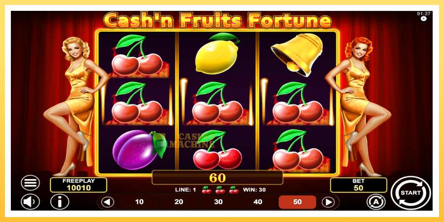 Cashn Fruits Fortune: ပိုက်ဆံအတွက်ကစား, ပုံ 3