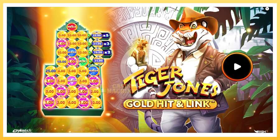 Gold Hit & Link: Tiger Jones: ပိုက်ဆံအတွက်ကစား, ပုံ 1