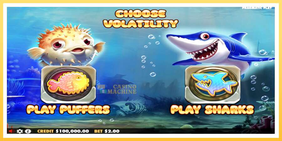 Puffers Vs Sharks: ပိုက်ဆံအတွက်ကစား, ပုံ 1