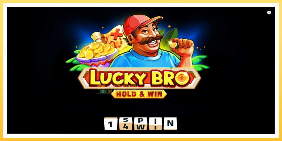 Lucky Bro Hold & Win: ပိုက်ဆံအတွက်ကစား, ပုံ 1