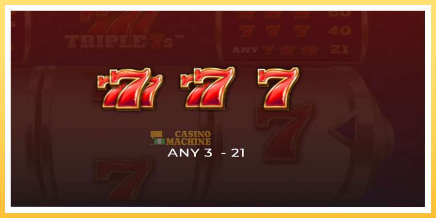 Triple 7s: ပိုက်ဆံအတွက်ကစား, ပုံ 4