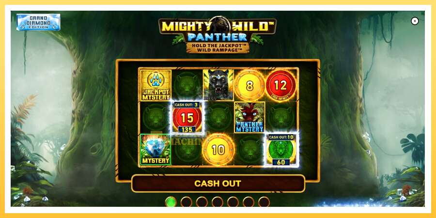 Mighty Wild: Panther Grand Diamond Edition: ပိုက်ဆံအတွက်ကစား, ပုံ 1