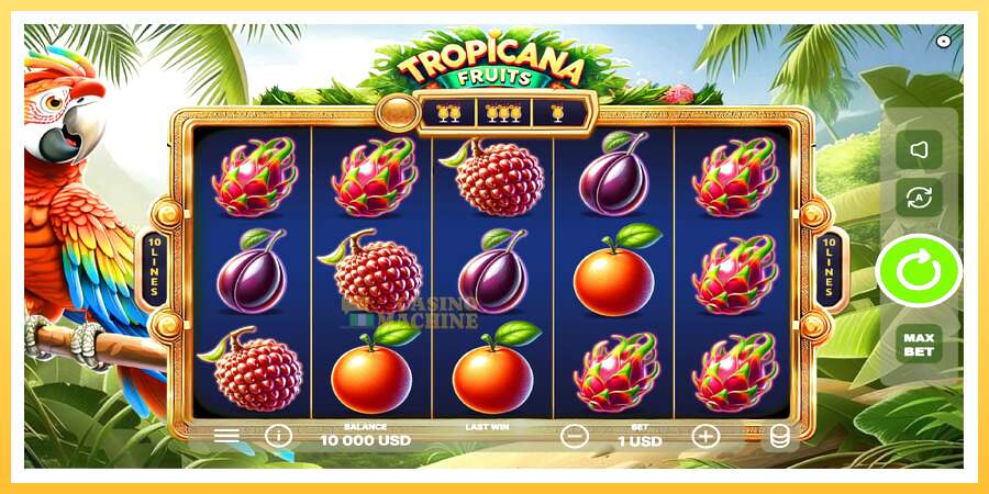 Tropicana Fruits: ပိုက်ဆံအတွက်ကစား, ပုံ 2