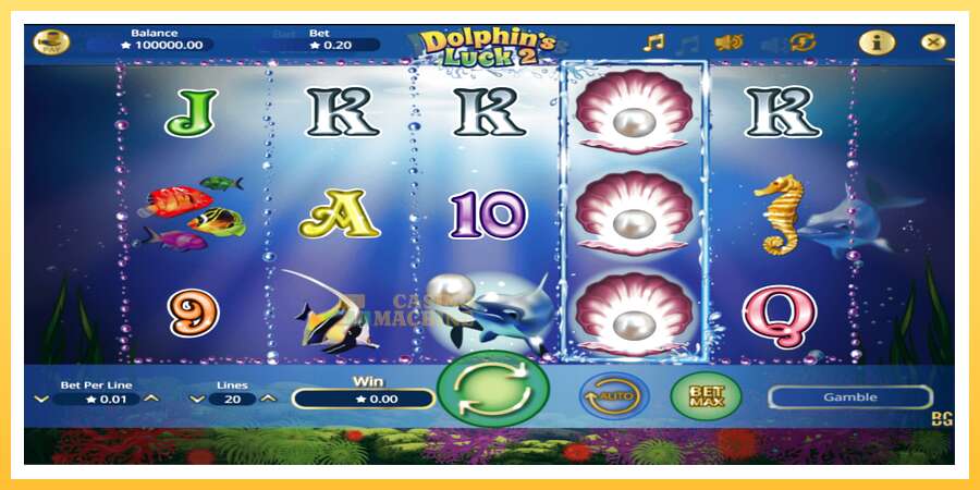 Dolphin’s Luck 2: ပိုက်ဆံအတွက်ကစား, ပုံ 1