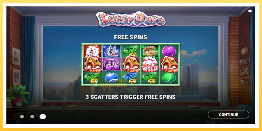 Lucky Pups: ပိုက်ဆံအတွက်ကစား, ပုံ 1