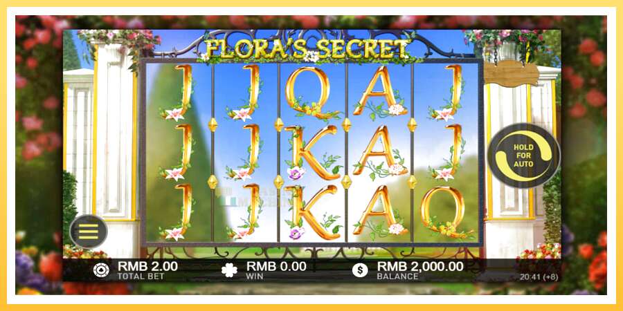 Floras Secret: ပိုက်ဆံအတွက်ကစား, ပုံ 2