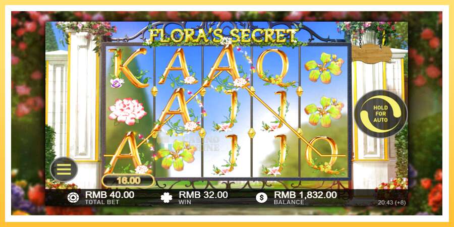 Floras Secret: ပိုက်ဆံအတွက်ကစား, ပုံ 3