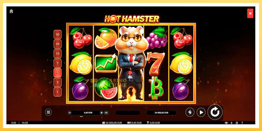 Hot Hamster: ပိုက်ဆံအတွက်ကစား, ပုံ 1