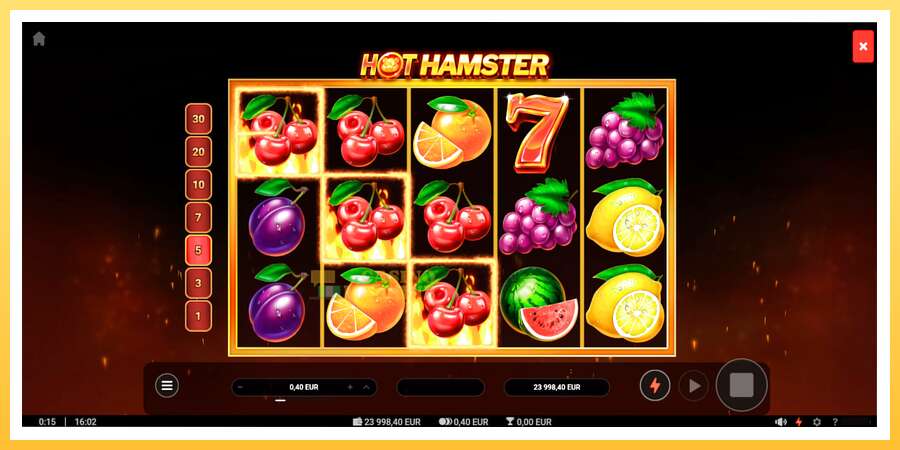 Hot Hamster: ပိုက်ဆံအတွက်ကစား, ပုံ 2