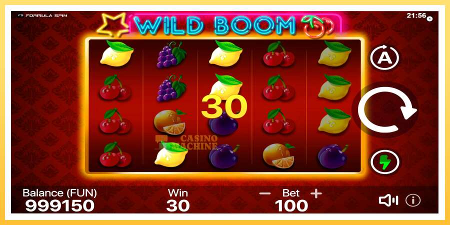 Wild Boom: ပိုက်ဆံအတွက်ကစား, ပုံ 4