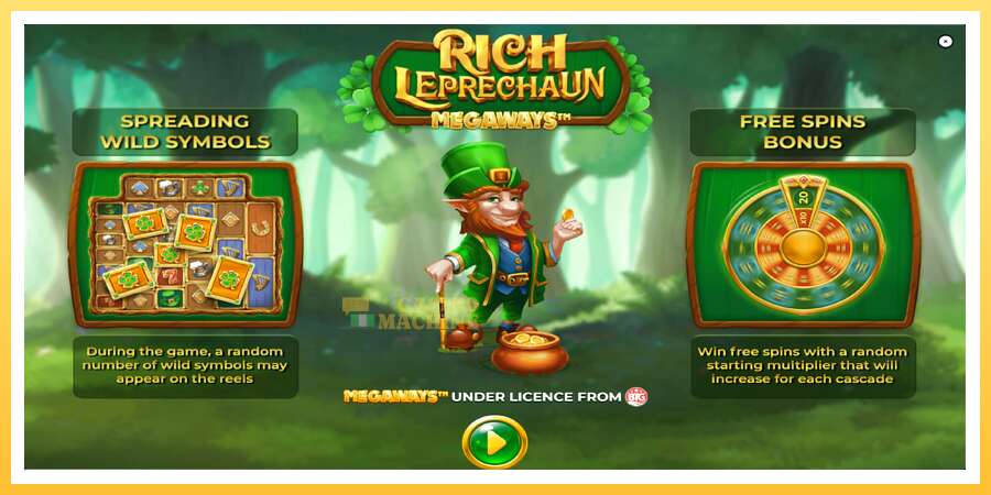 Rich Leprechaun Megaways: ပိုက်ဆံအတွက်ကစား, ပုံ 1