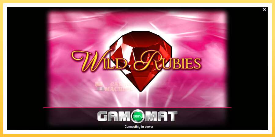 Wild Rubies: ပိုက်ဆံအတွက်ကစား, ပုံ 1