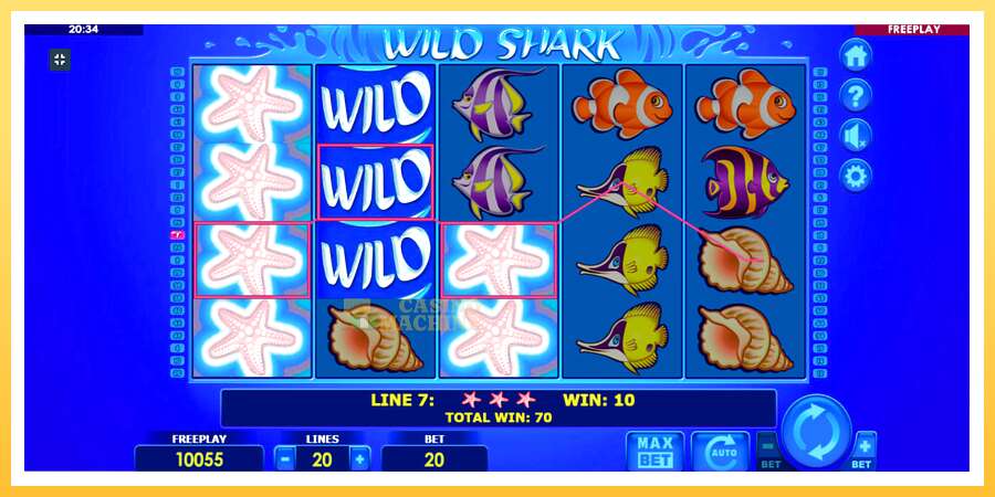 Wild Shark: ပိုက်ဆံအတွက်ကစား, ပုံ 3