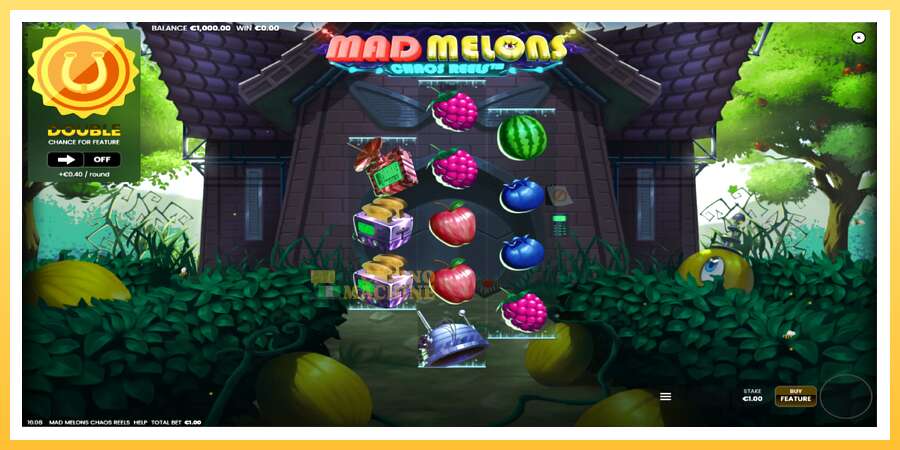 Mad Melons Chaos Reels: ပိုက်ဆံအတွက်ကစား, ပုံ 2