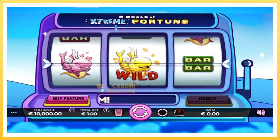 Whale of Xtreme Fortune: ပိုက်ဆံအတွက်ကစား, ပုံ 1