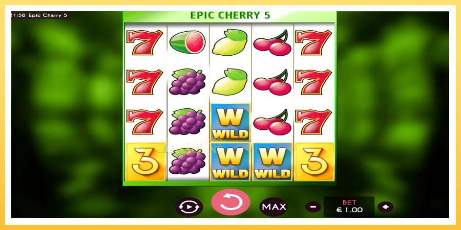 Epic Cherry 5: ပိုက်ဆံအတွက်ကစား, ပုံ 1