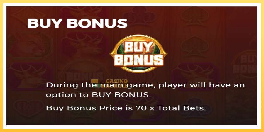 Buffalo Bounty XL: ပိုက်ဆံအတွက်ကစား, ပုံ 5