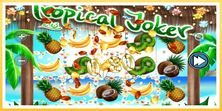 Tropical Joker: ပိုက်ဆံအတွက်ကစား, ပုံ 2