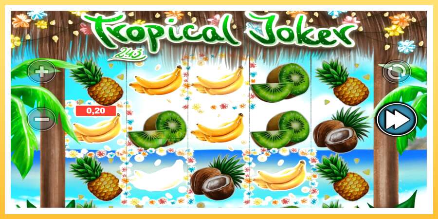 Tropical Joker: ပိုက်ဆံအတွက်ကစား, ပုံ 3