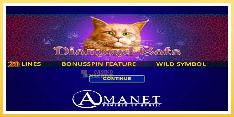 Diamond Cats: ပိုက်ဆံအတွက်ကစား, ပုံ 1