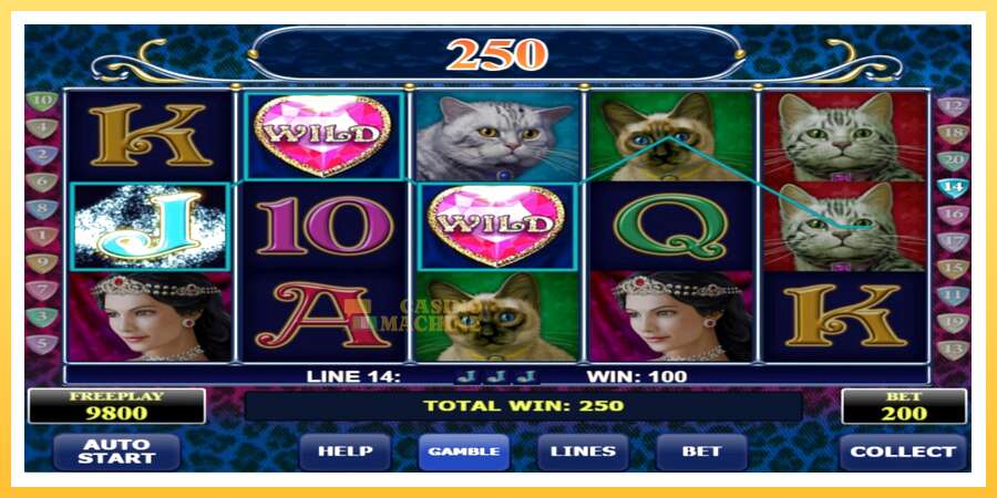 Diamond Cats: ပိုက်ဆံအတွက်ကစား, ပုံ 2