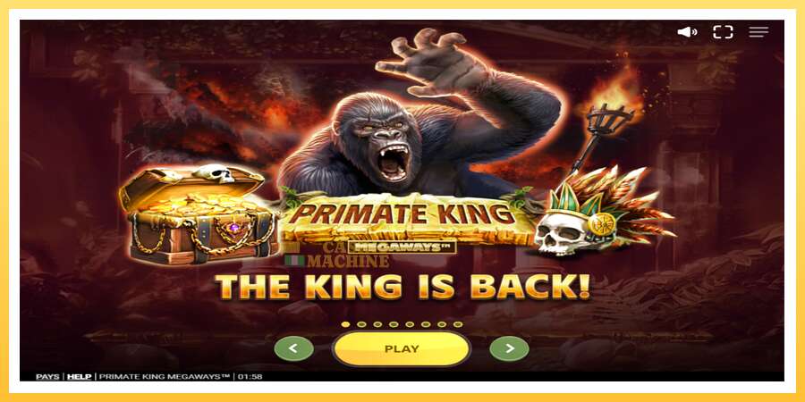 Primate King Megaways: ပိုက်ဆံအတွက်ကစား, ပုံ 1