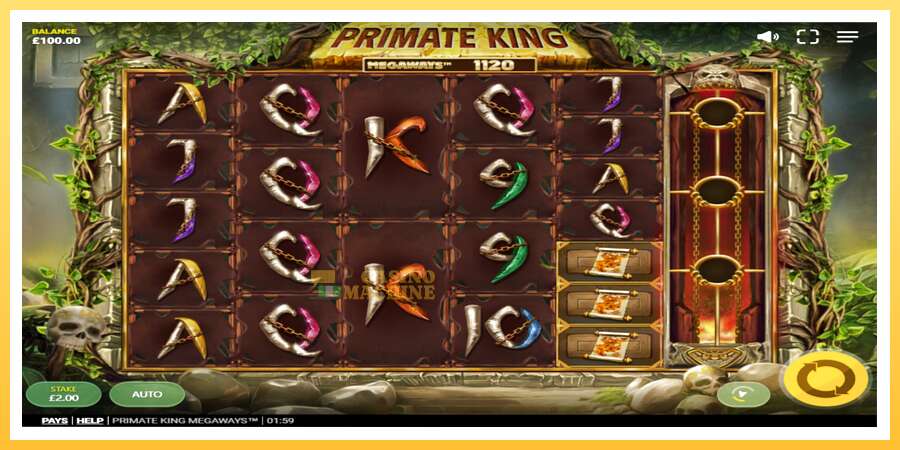 Primate King Megaways: ပိုက်ဆံအတွက်ကစား, ပုံ 2