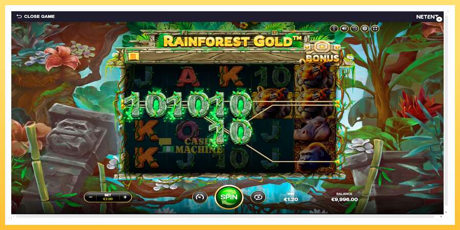 Rainforest Gold: ပိုက်ဆံအတွက်ကစား, ပုံ 2