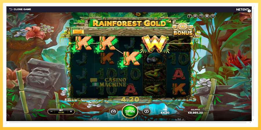 Rainforest Gold: ပိုက်ဆံအတွက်ကစား, ပုံ 3