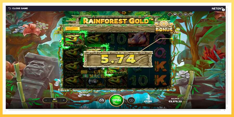 Rainforest Gold: ပိုက်ဆံအတွက်ကစား, ပုံ 4