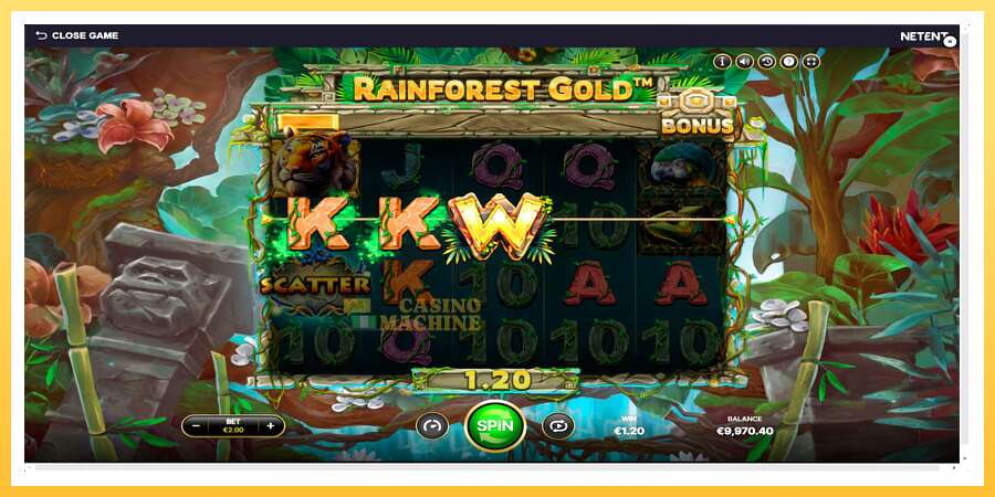 Rainforest Gold: ပိုက်ဆံအတွက်ကစား, ပုံ 5