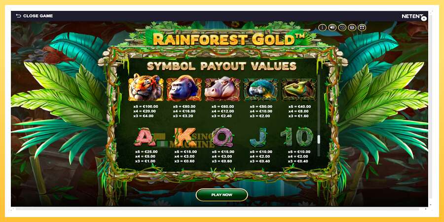 Rainforest Gold: ပိုက်ဆံအတွက်ကစား, ပုံ 6