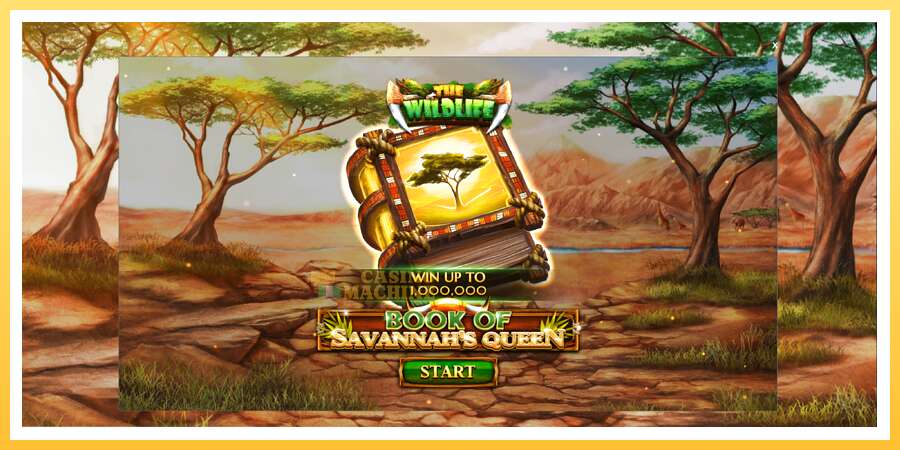 Book of Savannahs Queen: ပိုက်ဆံအတွက်ကစား, ပုံ 1