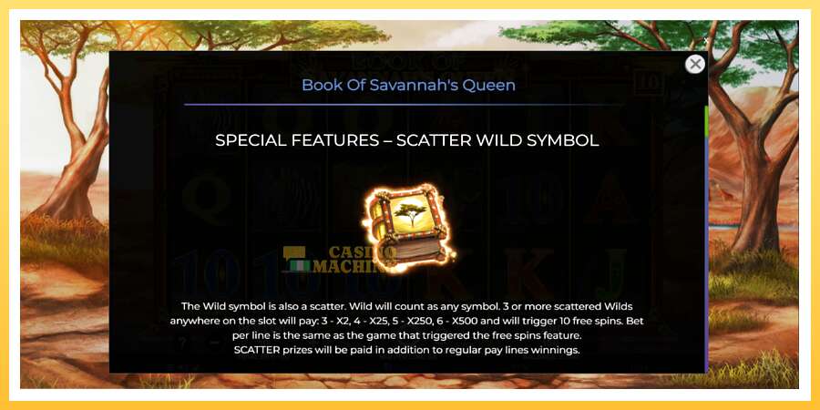 Book of Savannahs Queen: ပိုက်ဆံအတွက်ကစား, ပုံ 5