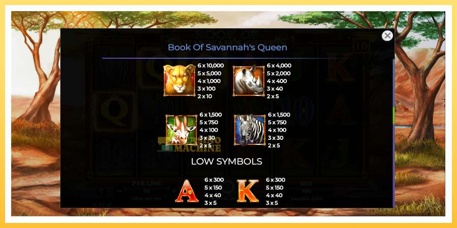 Book of Savannahs Queen: ပိုက်ဆံအတွက်ကစား, ပုံ 6