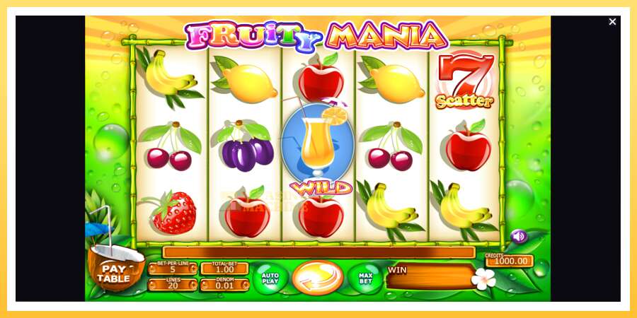 Fruity Mania: ပိုက်ဆံအတွက်ကစား, ပုံ 1