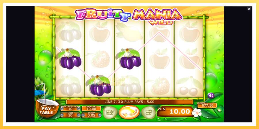 Fruity Mania: ပိုက်ဆံအတွက်ကစား, ပုံ 4