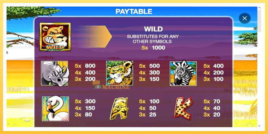 Wild Gambler: ပိုက်ဆံအတွက်ကစား, ပုံ 3