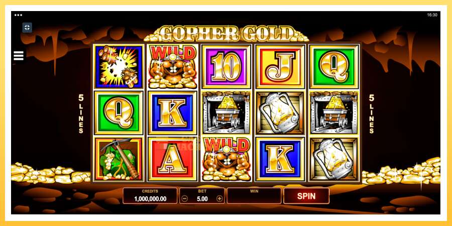 Gopher Gold: ပိုက်ဆံအတွက်ကစား, ပုံ 1