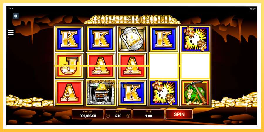 Gopher Gold: ပိုက်ဆံအတွက်ကစား, ပုံ 2